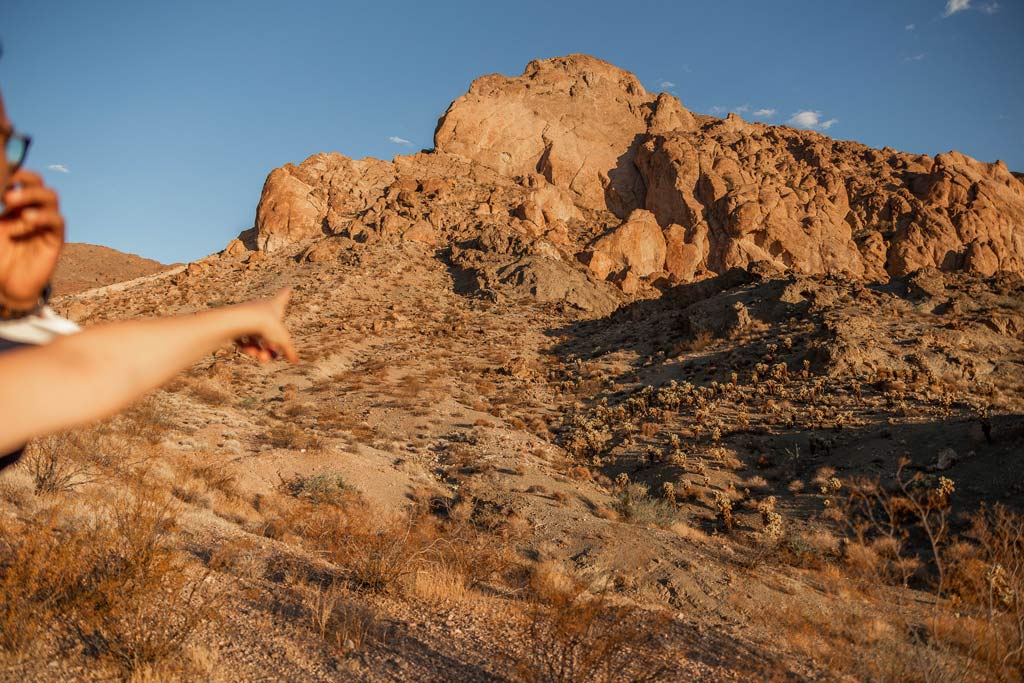 big horn sheep in the canyon for this couple's las vegas elopement