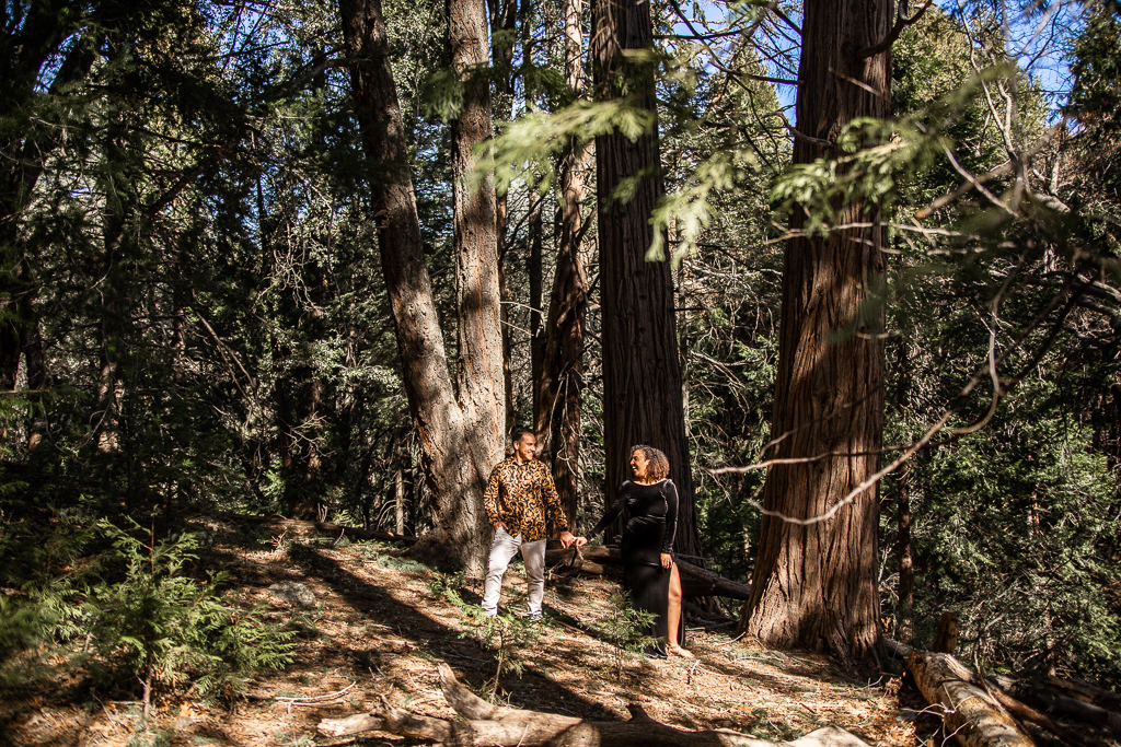 santa cruz elopement location