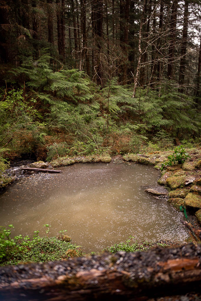 glacier garden glacier elopement