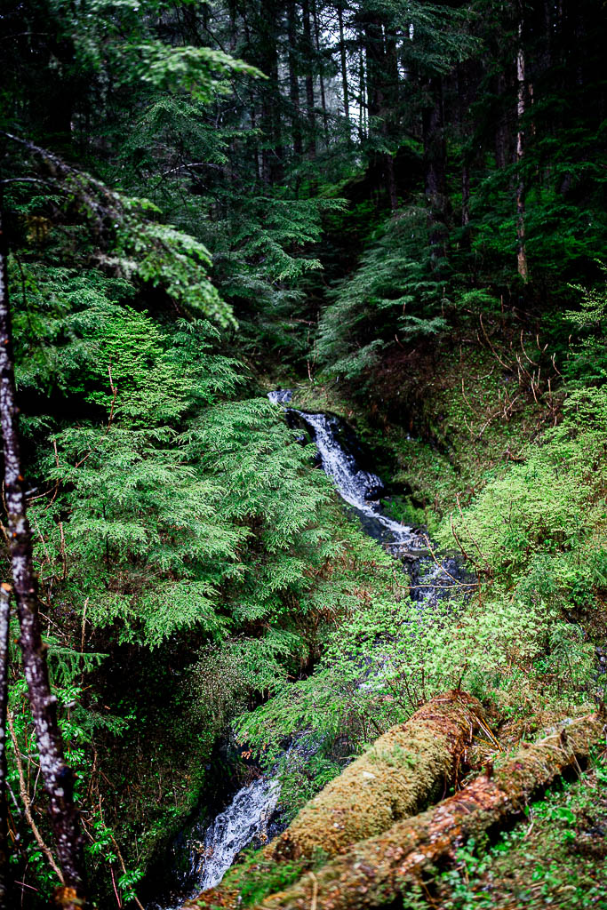 chasing waterfalls on alaskan elopement