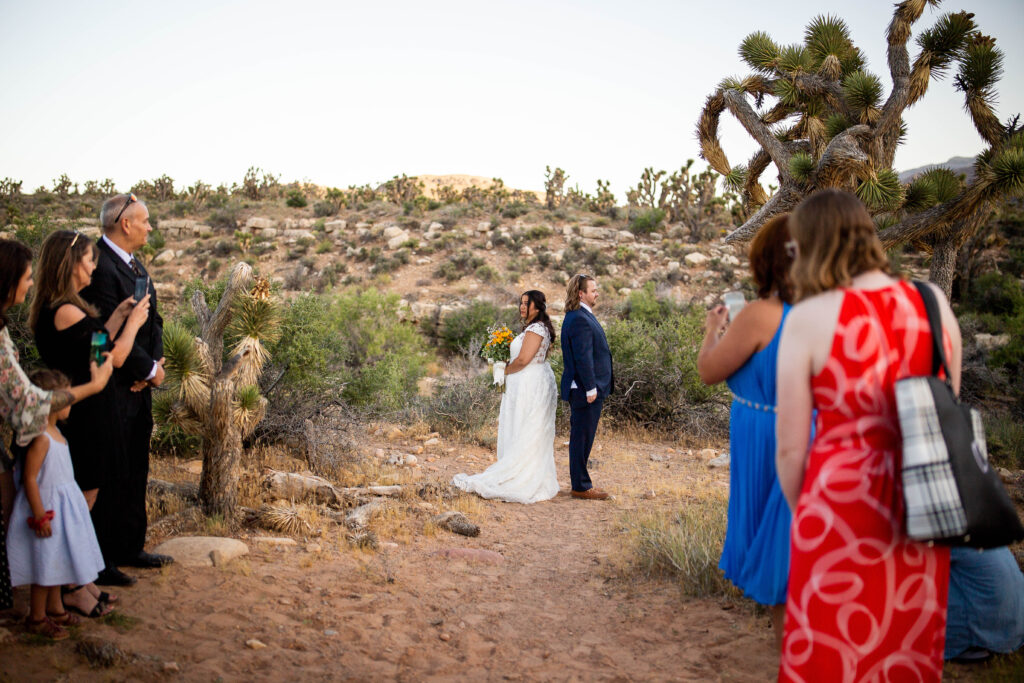 elopement first look with guests