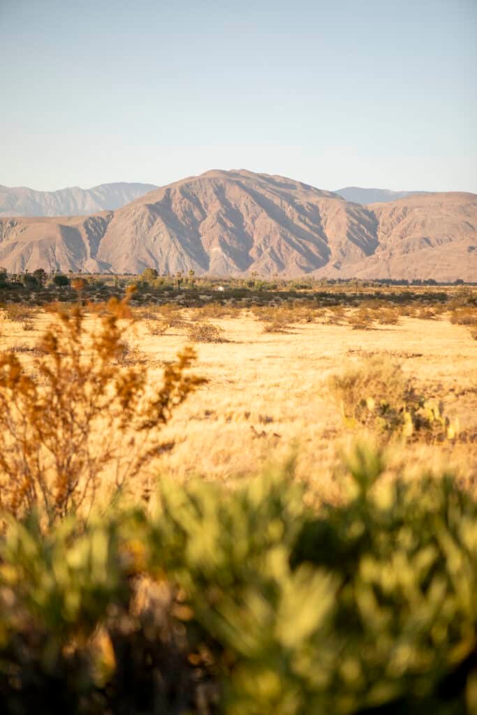 borrego springs california elopement location