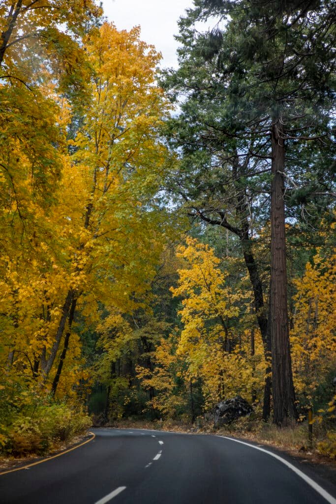 yosemite national park california elopement