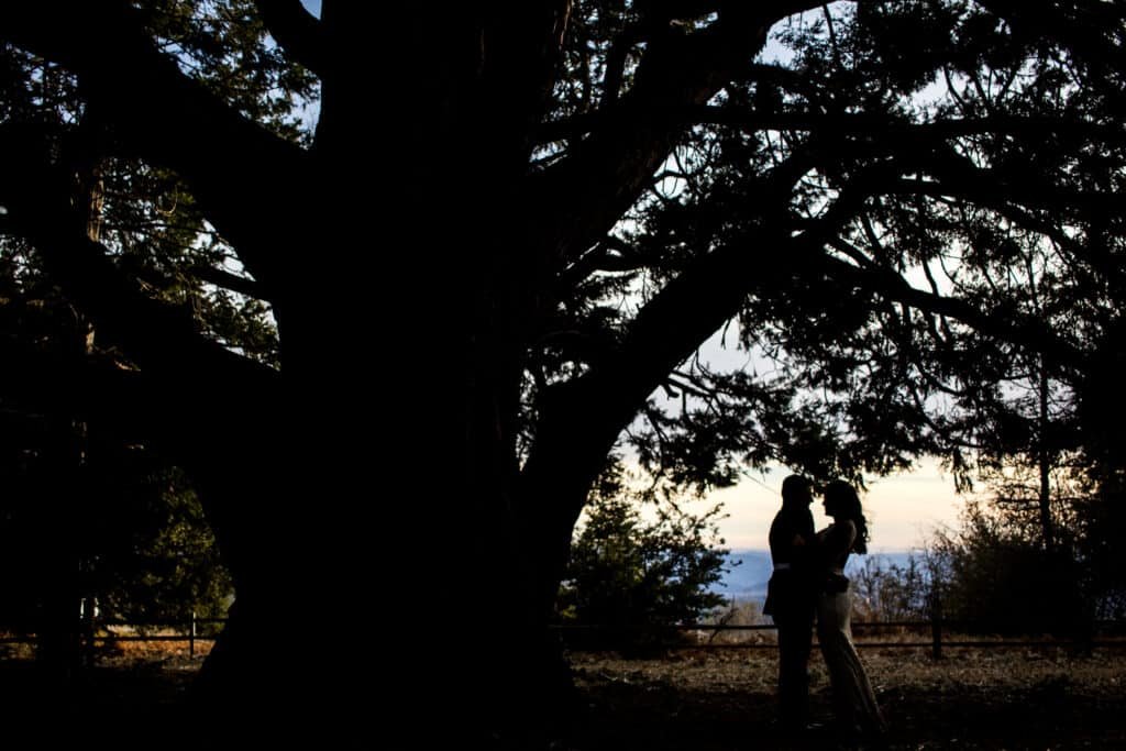 palomar mountain california elopement