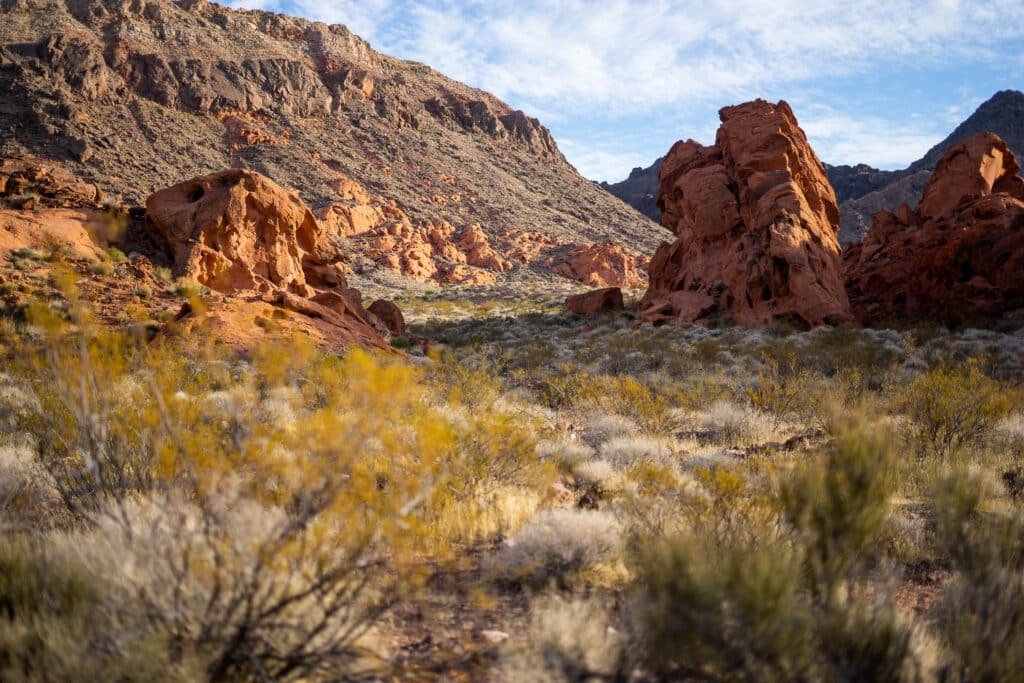 elope in lake mead
