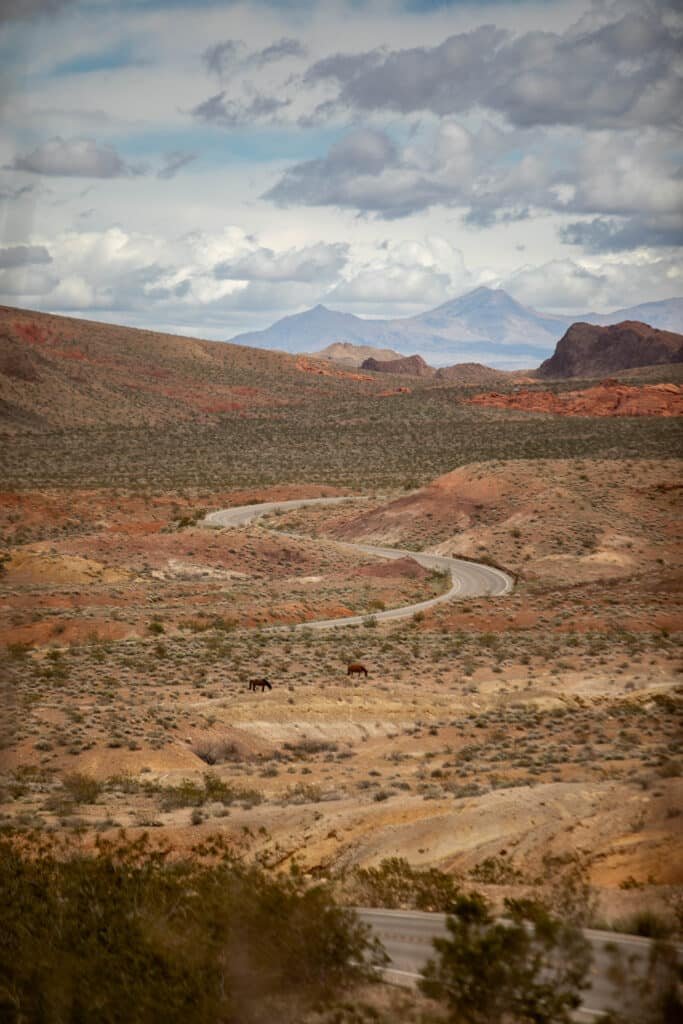 how to elope in lake mead