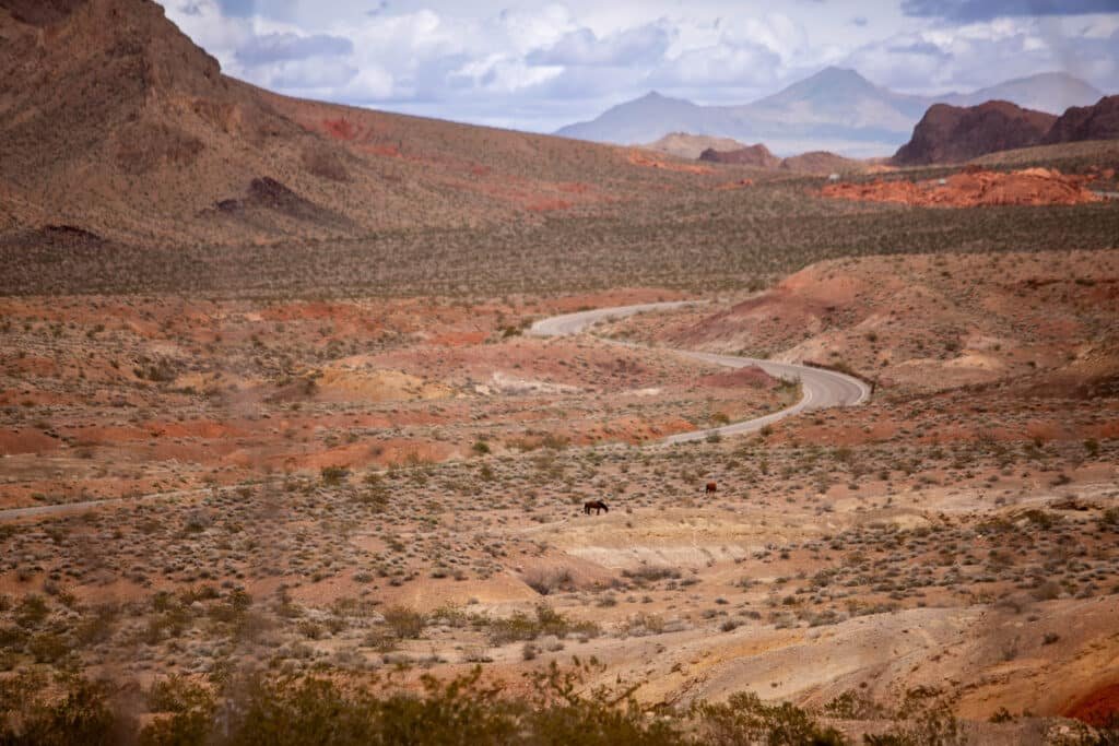 how to elope in lake mead