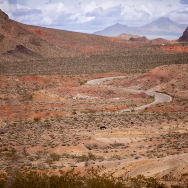 how to elope in lake mead