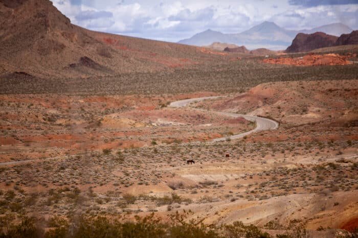 how to elope in lake mead