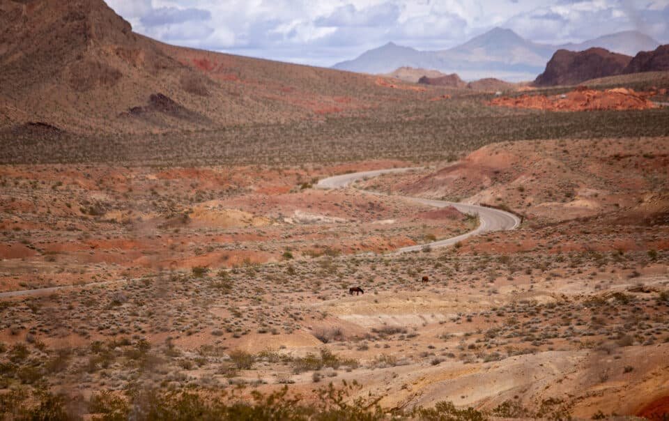 how to elope in lake mead