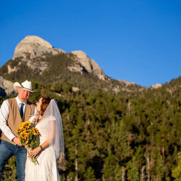mt. charleston elopement