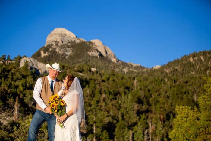 mt. charleston elopement