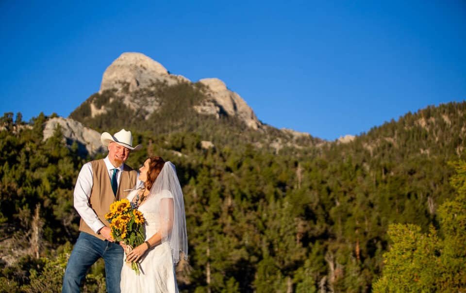 mt. charleston elopement